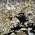 20110512124219-landfield_untitled_number_nine__smweb