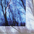 20110512162653-untitled_transparencies___late_winter__installation_view__ginafuenteswalker_small