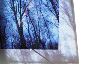 20110512162653-untitled_transparencies___late_winter__installation_view__ginafuenteswalker_small