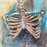 20110512204944-ribcage