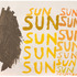 20110513001506-cj_sunsunsun