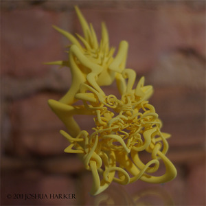 20110513104409-felonius-mirth