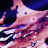 20110513184515-collat_damage_gaia-lg
