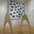 20110514091409-cardon_distal_zone_7