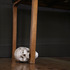 20110514135359-wurm_hamlet
