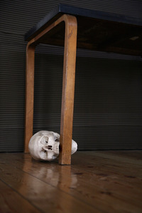 20110514135359-wurm_hamlet