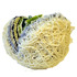 20110515190851-yarnball13