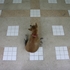 20110516041437-floor