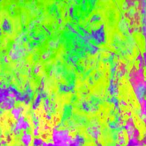 20110516095408-limegreen