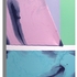 20110517095447-split