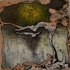 Becket_lake_dwellers__low_kb