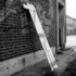 20110518073441-sor_2011_printonecoboard_reprint_necessary