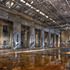 20110518100317-vomit_l2c0366