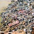 20110518151205-paul_roux_-__selfportrait__-_2007_-_oil_on_canvas_-_72_x_48