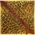 Leopard155cmx154cm