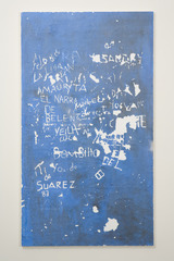 Untitled,Pablo Rasgado