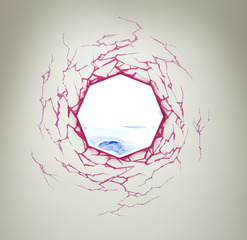 Octagahole,Pearl C. Hsiung