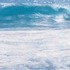 20110519160319-low_res_image__untitled__oil_on_can__2m_x_0