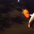 20110520143342-levin-koi-nocturne-2-tn15