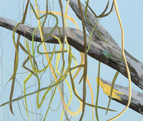 Vines,Claire Sherman