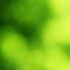 20110521063410-reza-shadpay-2