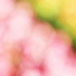 20110521063435-reza-shadpay-5