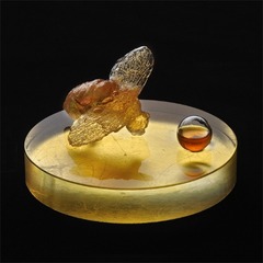 Nectar,Lita Albuquerque