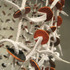 20110521180126-dreamhoop3detail_2