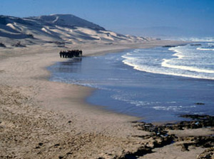 20110522002439-slideshow_neshat_01