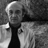 20110522103523-noguchi-header_new