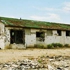 Afreeman0407a