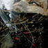 20110523001655-dscn8558