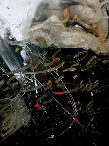 20110523001655-dscn8558