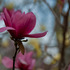 20110523164942-_dsc0010