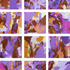 20110523165649-charming_violet