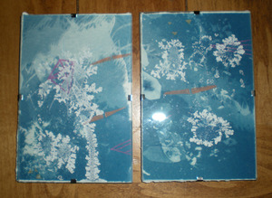 20110523180346-dscn0681