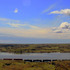 20110524091840-trainhorizon1stepupprint