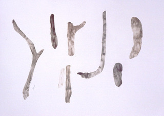 Specimens From Caspar,Russell Crotty