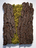 20110525062602-barkpainting-14