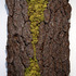 20110525062602-barkpainting-14