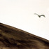 20110525114538-026-ackervogel