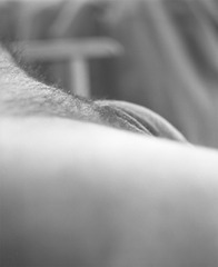 20110525214617-lopez_michelle_04