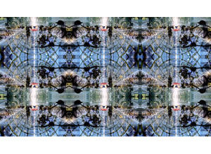 20110526075504-exhibitions_gallery_file_1288957914