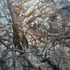 20110526143142-fractal800