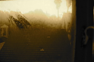 20110527014412-img_4052