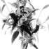 20110527140510-980web