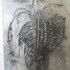 20110527205159-draw6-1