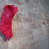 20110528123422-intimate_top_gallery_view_004