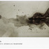 20110528145452-annuale_card_i