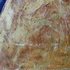 20110529060923-gold_disc_detail
